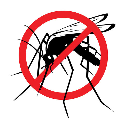 Intervento di disinfestazione  contro gli insetti alati per il giorno martedì 13 luglio